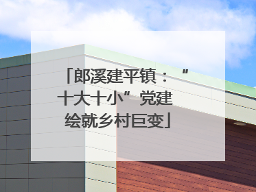 郎溪建平镇：“十大十小”党建 绘就乡村巨变