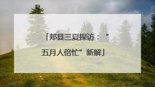 郏县三夏探访：“五月人倍忙”新解