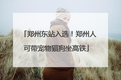郑州东站入选！郑州人可带宠物猫狗坐高铁