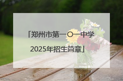 郑州市第一〇一中学2025年招生简章