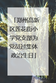 郑州高新区莲花街小学党支部为党员过集体政治生日