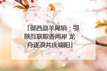 郧西县羊尾镇：鄂陕互联粽香两岸 龙舟逐浪共庆端阳