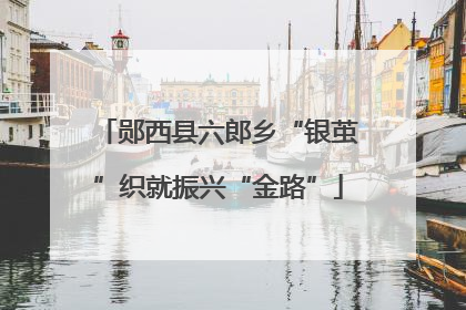 郧西县六郎乡“银茧”织就振兴“金路”