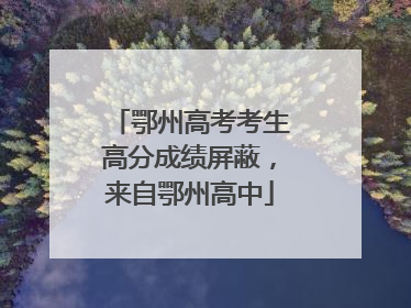 鄂州高考考生高分成绩屏蔽，来自鄂州高中
