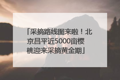 采摘路线图来啦！北京昌平近5000亩樱桃迎来采摘黄金期