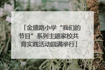 金盛路小学“我们的节目”系列主题家校共育实践活动圆满举行