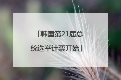 韩国第21届总统选举计票开始