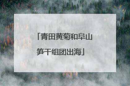 青田黄菊和阜山笋干组团出海