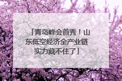 青岛峰会首秀！山东低空经济全产业链实力藏不住了
