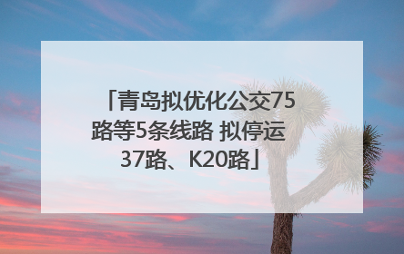 青岛拟优化公交75路等5条线路 拟停运37路、K20路