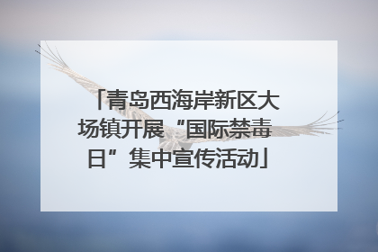 青岛西海岸新区大场镇开展“国际禁毒日”集中宣传活动