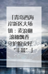 青岛西海岸新区大场镇：麦浪翻滚穗飘香 守护粮安好“丰景”