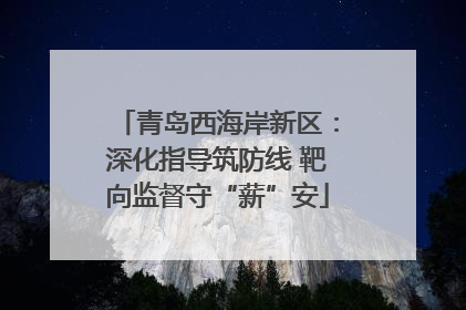 青岛西海岸新区：深化指导筑防线 靶向监督守“薪”安