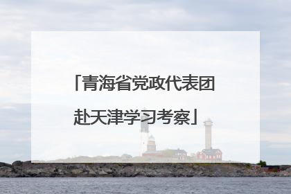 青海省党政代表团赴天津学习考察