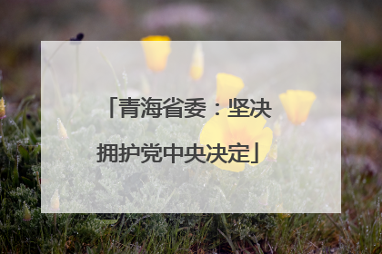 青海省委：坚决拥护党中央决定