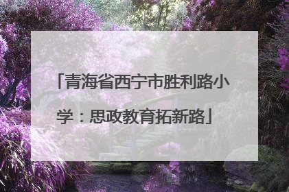 青海省西宁市胜利路小学：思政教育拓新路