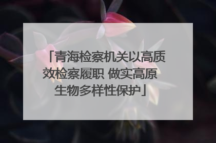 青海检察机关以高质效检察履职 做实高原生物多样性保护