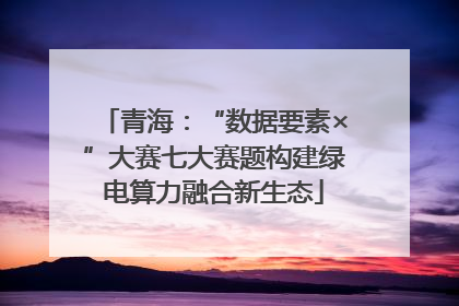 青海：“数据要素×”大赛七大赛题构建绿电算力融合新生态