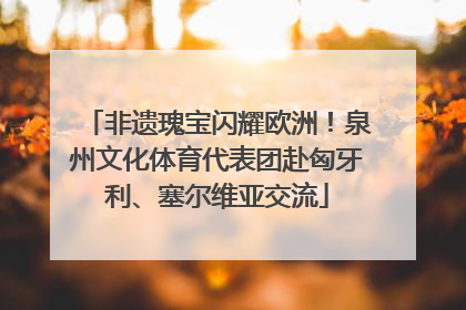非遗瑰宝闪耀欧洲！泉州文化体育代表团赴匈牙利、塞尔维亚交流