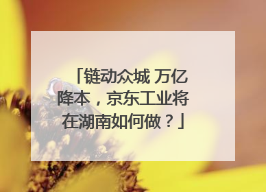 链动众城 万亿降本，京东工业将在湖南如何做？
