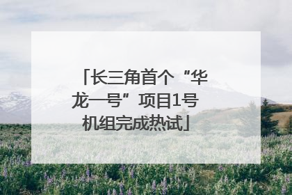 长三角首个“华龙一号”项目1号机组完成热试