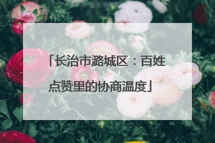长治市潞城区：百姓点赞里的协商温度