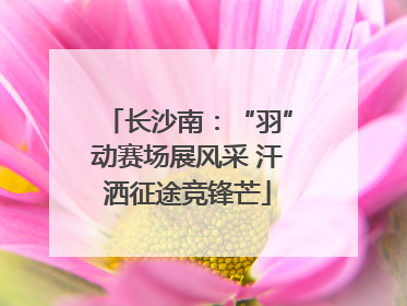 长沙南：“羽”动赛场展风采 汗洒征途竞锋芒