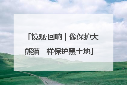 镜观·回响｜像保护大熊猫一样保护黑土地
