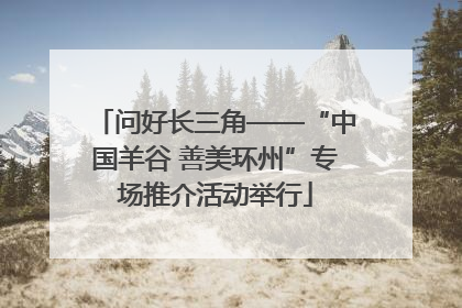 问好长三角——“中国羊谷 善美环州”专场推介活动举行