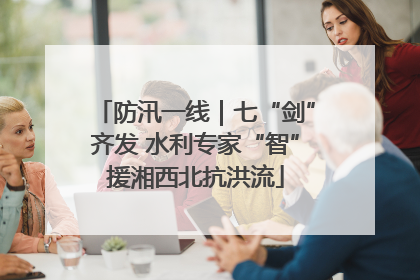 防汛一线｜七“剑”齐发 水利专家“智”援湘西北抗洪流