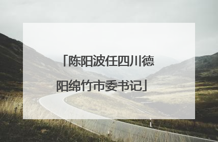 陈阳波任四川德阳绵竹市委书记