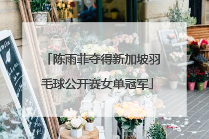 陈雨菲夺得新加坡羽毛球公开赛女单冠军
