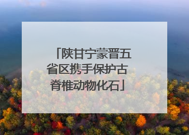 陕甘宁蒙晋五省区携手保护古脊椎动物化石