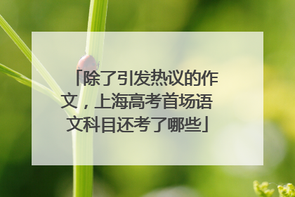 除了引发热议的作文，上海高考首场语文科目还考了哪些