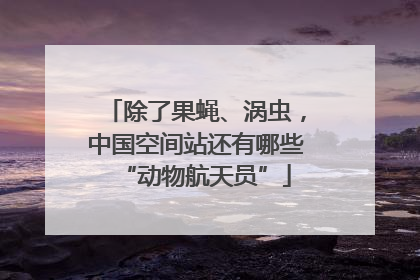 除了果蝇、涡虫，中国空间站还有哪些“动物航天员”