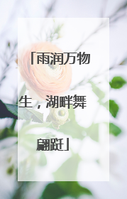 雨润万物生，湖畔舞翩跹
