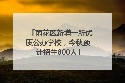 雨花区新增一所优质公办学校，今秋预计招生800人