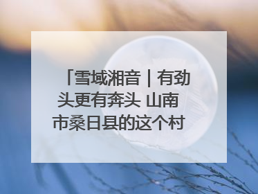 雪域湘音｜有劲头更有奔头 山南市桑日县的这个村落迎来蜕变