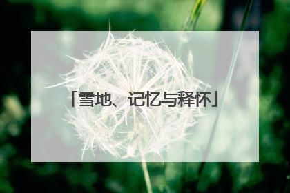 雪地、记忆与释怀
