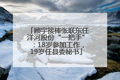 顾宇接棒张联东任洋河股份“一把手”：18岁参加工作，19岁任县委秘书