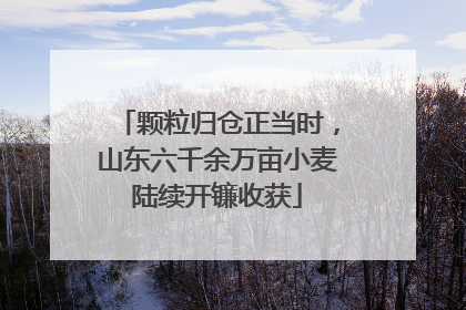 颗粒归仓正当时，山东六千余万亩小麦陆续开镰收获