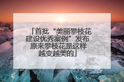 首批“美丽攀枝花建设优秀案例”发布 原来攀枝花是这样越变越美的