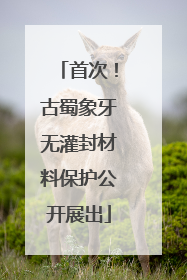 首次！古蜀象牙无灌封材料保护公开展出