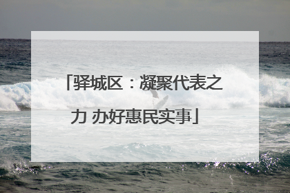 驿城区：凝聚代表之力 办好惠民实事