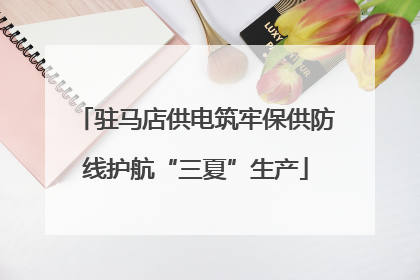 驻马店供电筑牢保供防线护航“三夏”生产