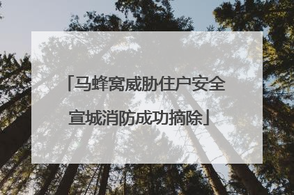 马蜂窝威胁住户安全 宣城消防成功摘除