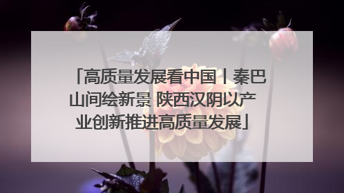高质量发展看中国丨秦巴山间绘新景 陕西汉阴以产业创新推进高质量发展
