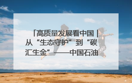 高质量发展看中国｜从“生态守护”到“碳汇生金”——中国石油大庆油田绿色蝶变