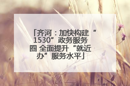 齐河：加快构建“1530”政务服务圈 全面提升“就近办”服务水平