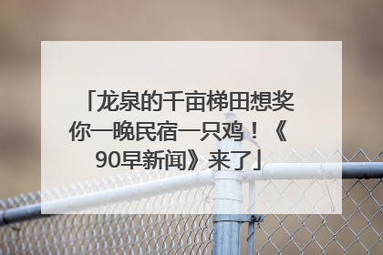 龙泉的千亩梯田想奖你一晚民宿一只鸡！《90早新闻》来了